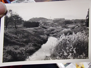 PA153082.JPG