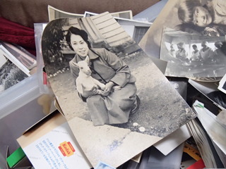 PA153089.JPG